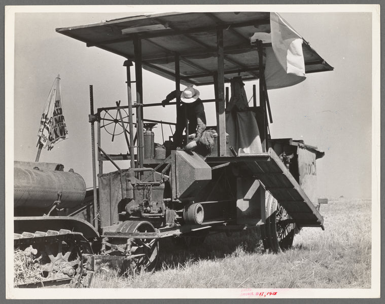 Combine harvester in California. Wheat field. San Joaquin Valley