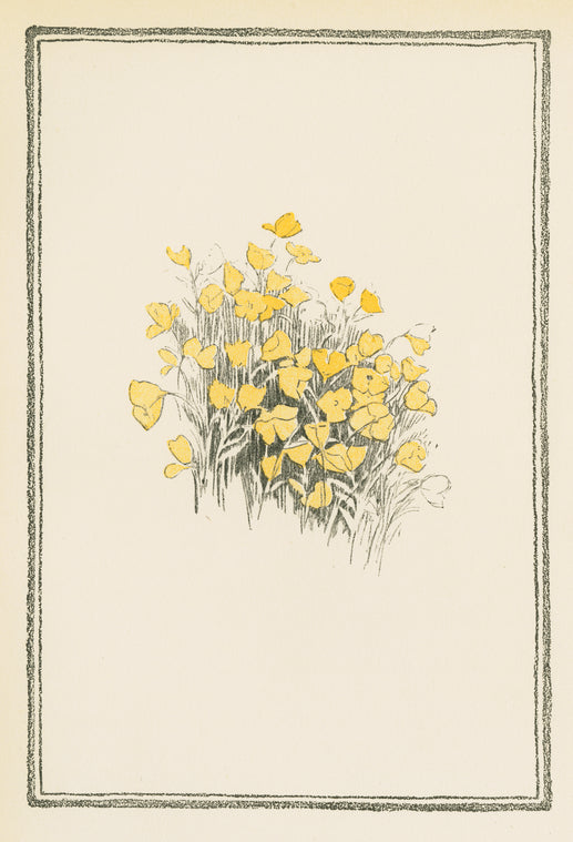 Yellow flowers.