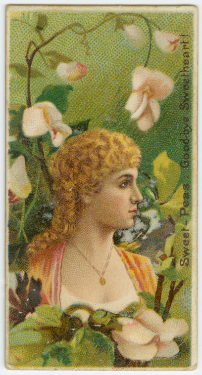 Sweet-peas, goodbye, sweetheart!