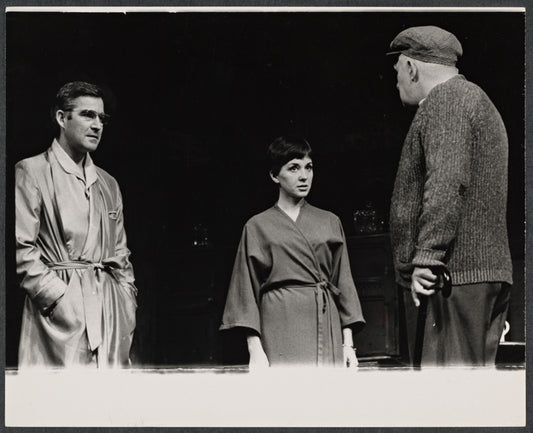 Michael Craig, Vivien Merchant, and Paul Rogers in the stage production The Homecoming