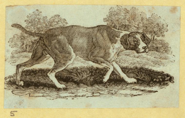 Dogs.