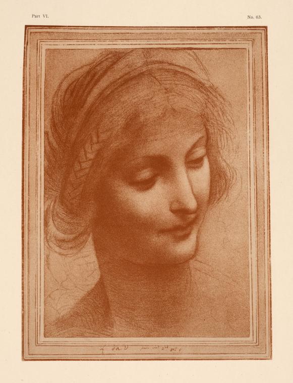 Drawing of the head of the blessed virgin
