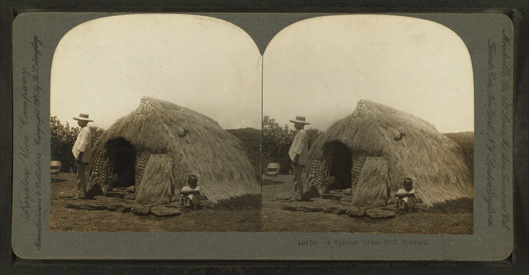 A typical grass hut, Hawaii