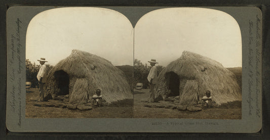 A typical grass hut, Hawaii