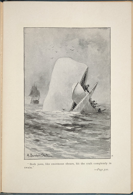 "Both jaws, like enourmous shears, bit the craft completely in twain"