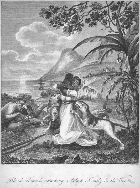 Blood Hounds attacking a Black Family in the Woods.