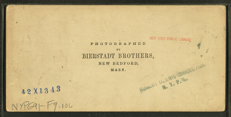 Imp Mountain, near the Glen, White Mountains, N.H.
