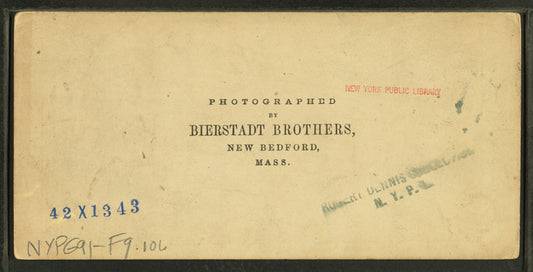 Imp Mountain, near the Glen, White Mountains, N.H.