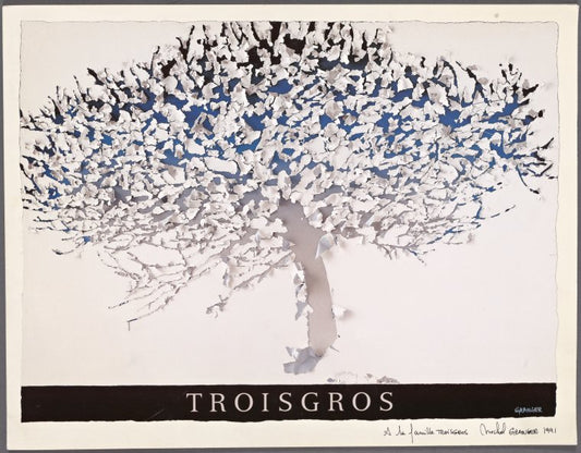 Hotel Restaurant Troisgros