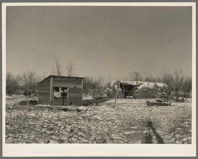 Chicken house and cattle barn, made of straw and wire, on William Helmke farm near Dickens, Iowa. The ninety acres and the crop share lease owned by a lawyer. All the buildings are of his own construction
