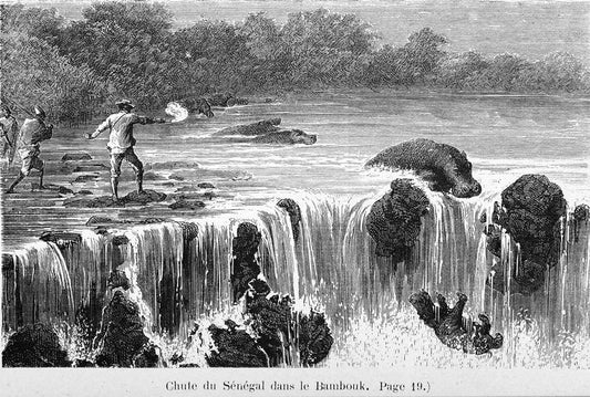 Chute du Sénégal dans le Bambouk.