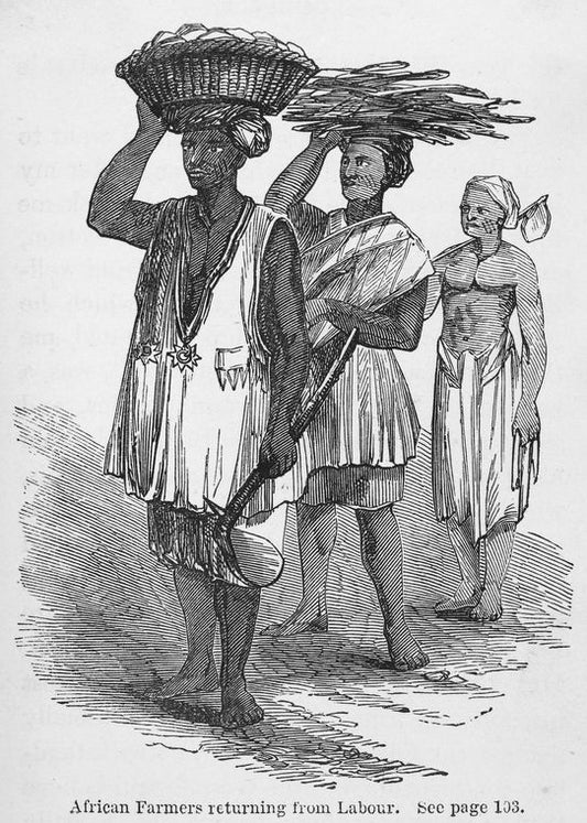 African farmers returning from Labour