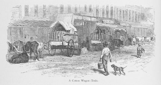 A cotton wagon-train