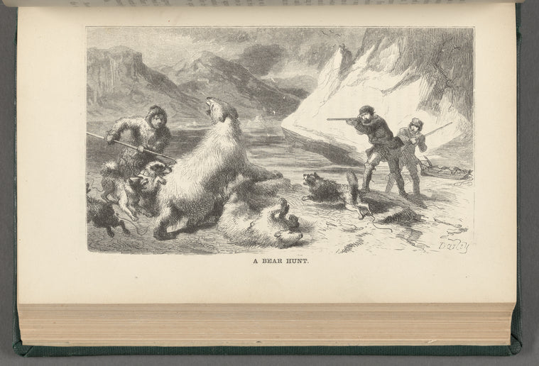 A Bear Hunt
