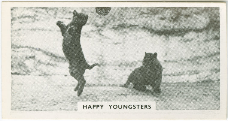 Happy youngsters.