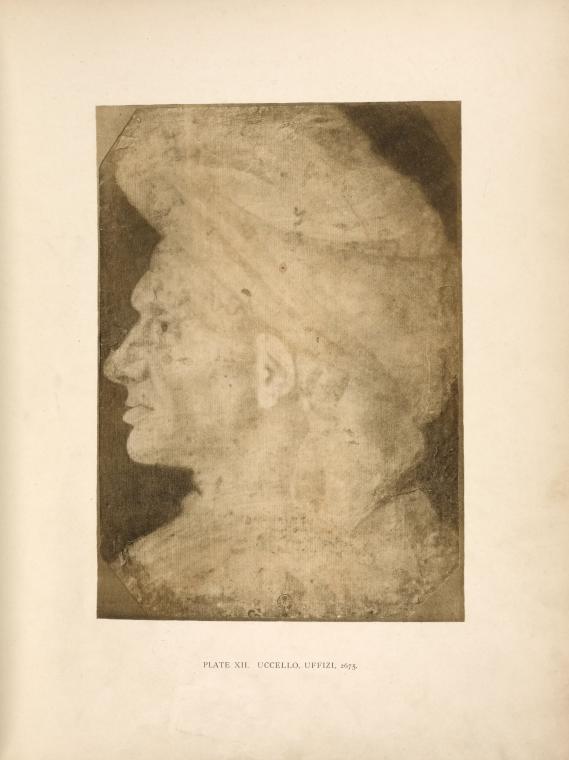 Uccello, Uffizi, 2675. [Head of man in profile.]
