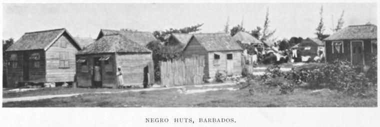 Negro huts, Barbados.