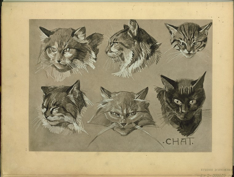 Chat.