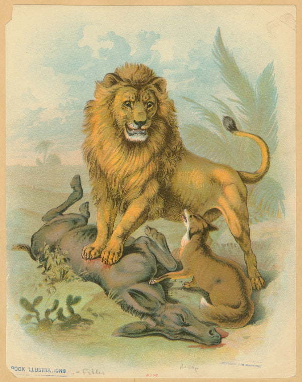 The Lion, the fox, and the donkey