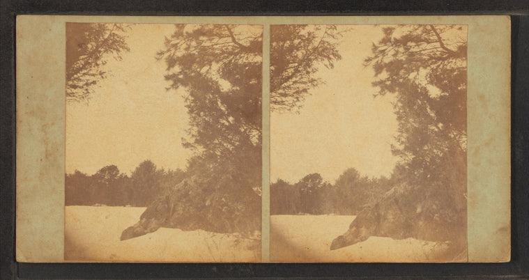 Winter scene.