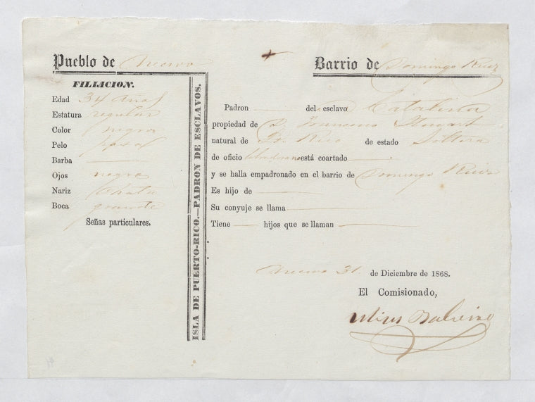 Padron de Esclavos: Catalina