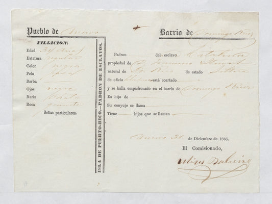 Padron de Esclavos: Catalina