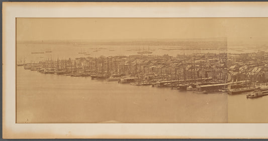 Panoramic view of Manhattan, showing Brooklyn Bridge under construction