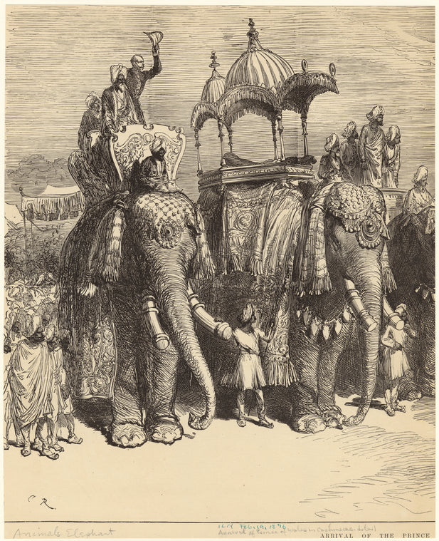 Arrival of Prince of Wales in Cashmere
