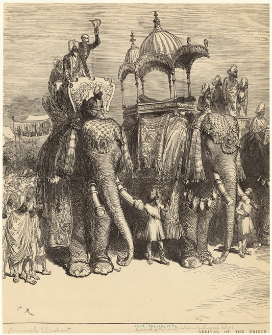 Arrival of Prince of Wales in Cashmere