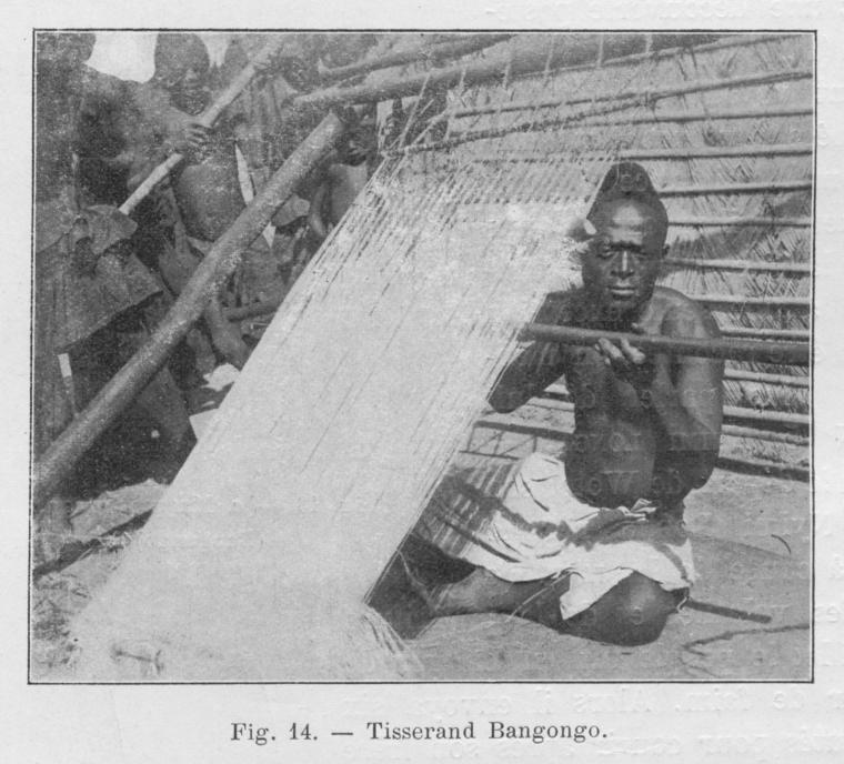 Tisserand Bangongo.