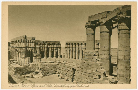 Luxor: View of open and close capitals papyrus columns