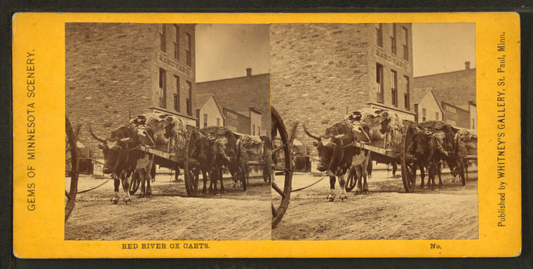 Red river ox carts.
