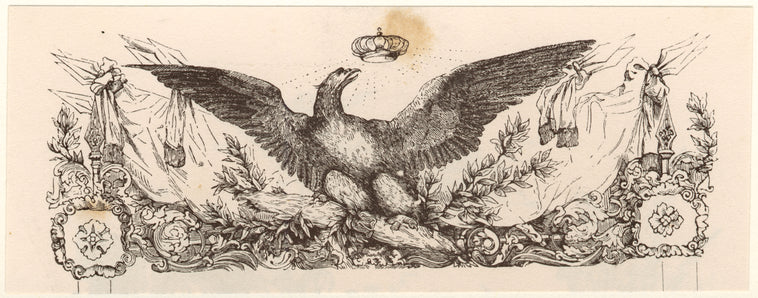 Crown hovering over bird