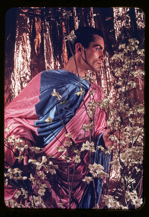 Hugh Laing with dogwood