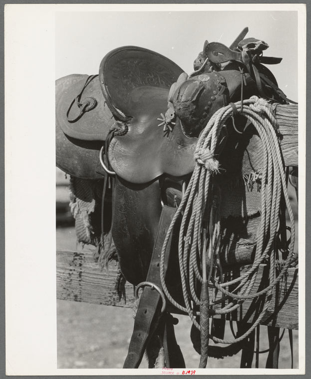 Detail of cowboy's saddle. Roundup near Marfa, Texas