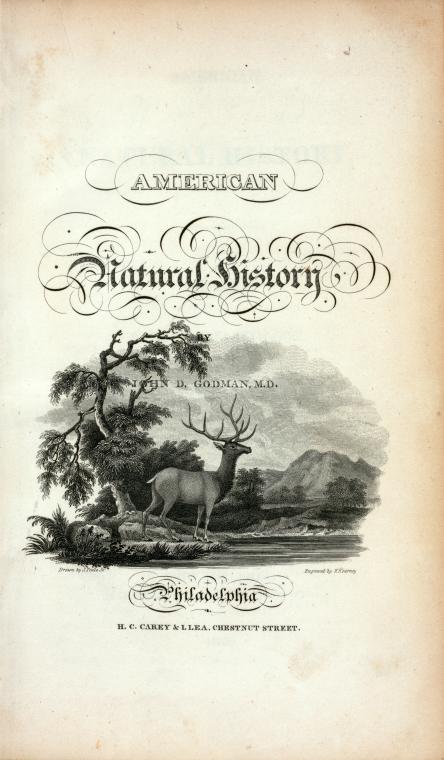 Vignette Title page, vol. 2