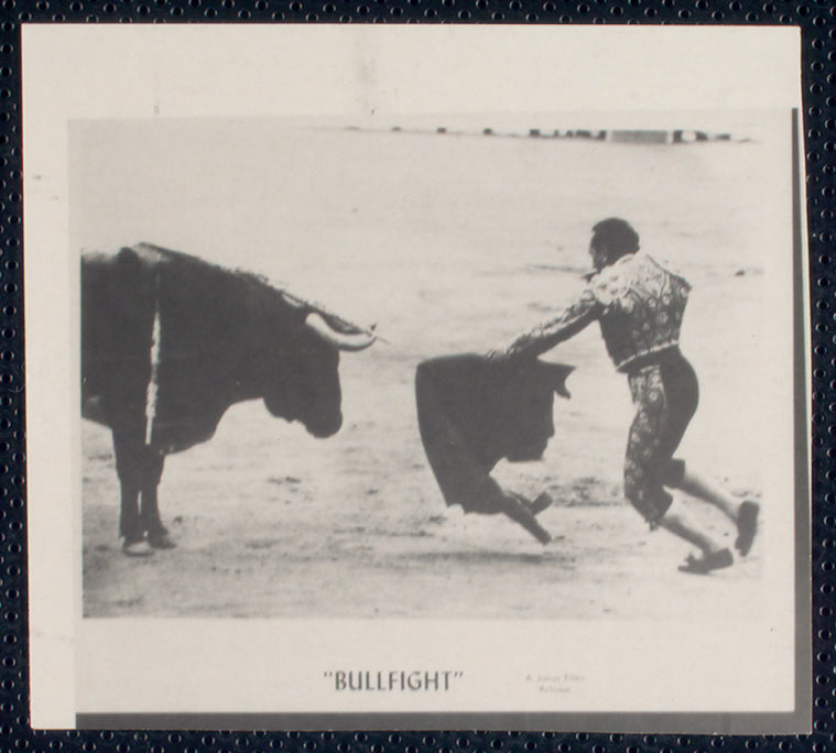 Bullfight