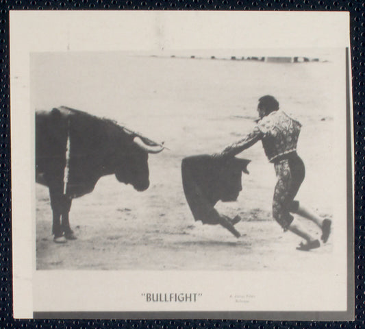 Bullfight