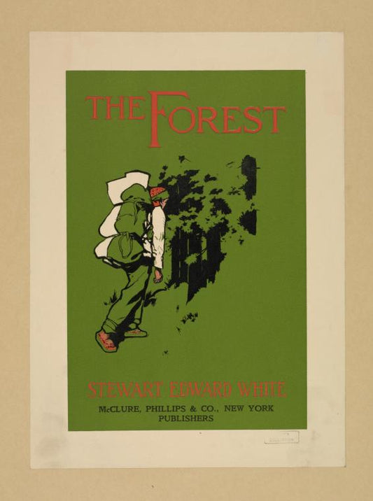 The forest.