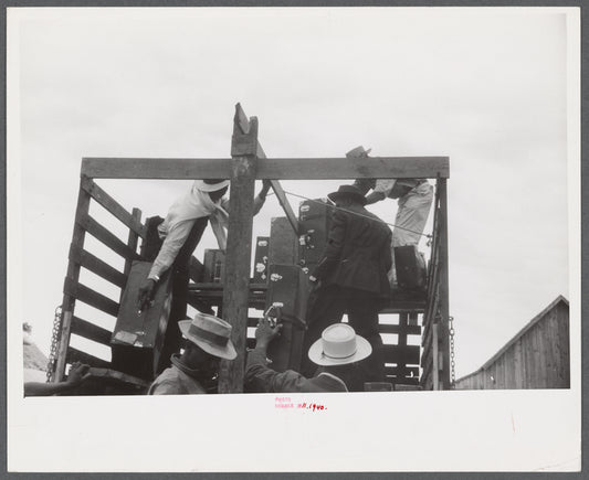 Migrants getting luggage aboard the truck which will take them from Belcross, North Carolina to another job at Onley, Virginia.