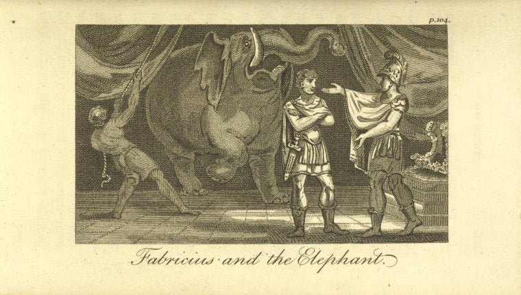 Fabricius and the elephant