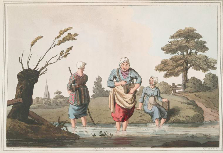 Leech finders