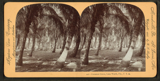 Cocoanut (Coconut) Grove, Lake Worth, Fla.