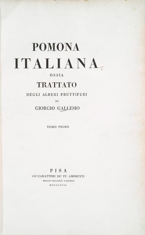 Pomona Italiana