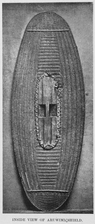 Inside View of Aruwimi Shield