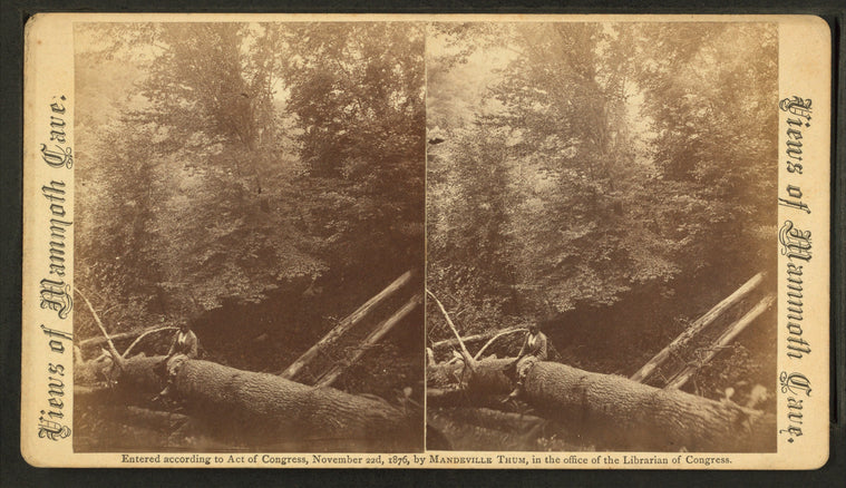 A native, (an African American boy sitting on a log).