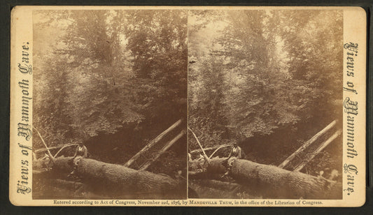 A native, (an African American boy sitting on a log).