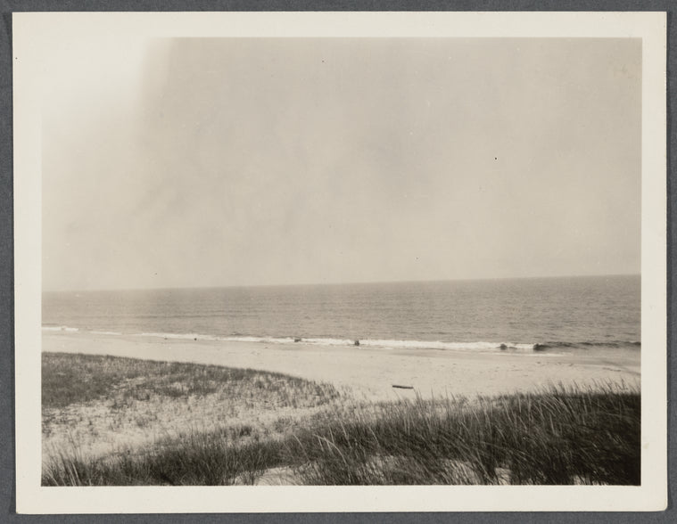 View. East Hampton Beach. Sand Dunes. Surf at the beach. East Hampton, East Hampton