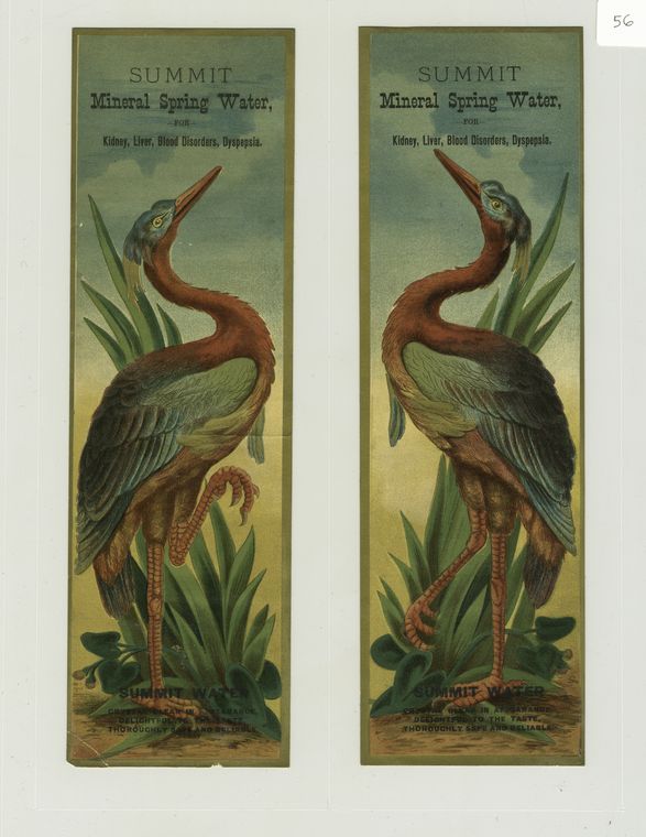 Trade cards depicting tropical birds with long legs.