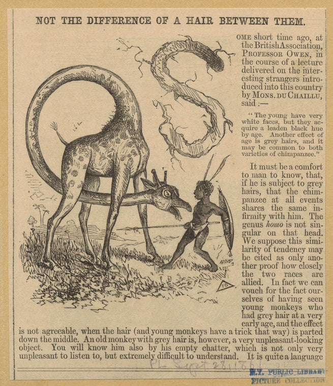 Giraffe looking at a boy holding a shield